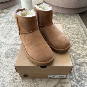 UGG classic mini II boots in chestnut